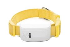 NT202 rastreador GPS