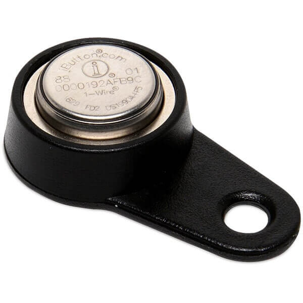 iButton iButton