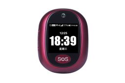 RF-V45 GPS tracking device