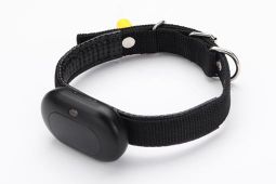 RF-V41 GPS tracking device