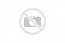 Sinotrack (any model) GPS tracking device