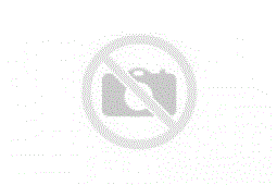 BSTPL GPS tracking device