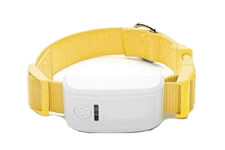 NT202 GPS tracking device